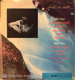 Cat Stevens – Back to Earth Plak LP