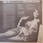 Özel Türkbaş – How To Belly Dance For Your Sultan Dönem Baskı Plak