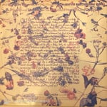 Prince And The Revolution – Purple Rain Türk Basım Plak LP