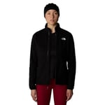 100 Glacier Kadın Siyah Outdoor Polar NF0A855O4H01