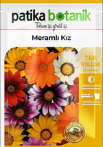20 Adet Meramlı Kız (gazania Splendens) Çiçek Tohumu