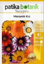 20 Adet Meramlı Kız (gazania Splendens) Çiçek Tohumu