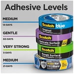 3M Painter's Tape, Multi-Use, .94 inç by 60-Yard, 6 Rulo