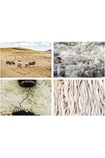 4'lü İnce Örgülü Kışlık Erkek Çorap Lambswool Yünlü