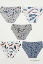 5'li Paket Erkek Çocuk Renkli Desenli Neşeli Pamuklu Slip Külot