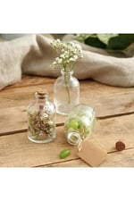 6 Adet Şeffaf Cam Shot Şişesi Mantar Tıpalı Hediyelik Koku Süs Çok Amaçlı Şişe 50ml
