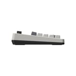 8BitDo Retro 18 Mekanik Numpad, Hesap Makinesi Modunu Destekler, Bluetooth/2.4G/Kablolu Numpad Windows ve Android için - N Edition