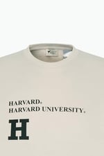 AC&Co/Altınyıldız Classics Oversize Fit Bol Kesim Harvard Lisanslı 3 İplik Pamuklu Bisiklet Yaka Sweatshirt