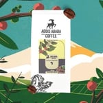 Addis Ababa Coffee - 6X100 gr Dünya Kahveleri/Santos, Endonezya, Sidamo, Yirgacheffe, Guatemala (Filtre Kahve)