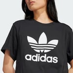 adidas Adicolor Trefoil Boxy Kadın Tişört