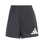 adidas Adidas Workout Essentials Big Performance Logo Training Shorts Sportif yaşam tarzı Kadın