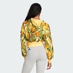 adidas adidas x FARM Hoodie