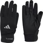 adidas Aksesuar Siyah Eldiven Run Glove Conv. JM3078