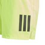adidas B CLUB 3S SHORT Şort Erkek çocuk - Seçenekler: 5-6 Yıl, 7-8 Yıl, 9-10 Yıl, 11-12 Yıl, 13-14 Yıl, 15-16 Yıl