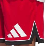 adidas Basketball Badge of Sport Erkek Şort