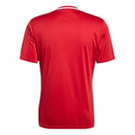 Adidas Campeon25 Jsy M Erkek Futbol Antrenman Forması JF6058Kırmızı