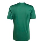 Adidas Campeon25 Jsy M Erkek Futbol Antrenman Forması JF6063 Yeşil