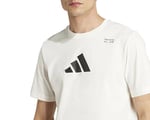 adidas CLIMACOOL Category Training Graphic Tee
