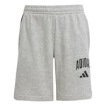 adidas Çocuk Gri Şort J CLGT FT SHO JW2380