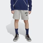 adidas Çocuk Gri Şort J CLGT FT SHO JW2380