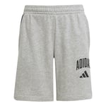 adidas Çocuk Gri Şort J CLGT FT SHO JW2380