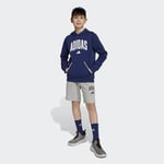 adidas Çocuk Gri Şort J CLGT FT SHO JW2380