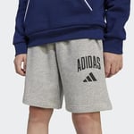 adidas Çocuk Gri Şort J CLGT FT SHO JW2380