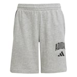 adidas Çocuk Gri Şort J CLGT FT SHO JW2380