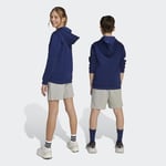 adidas Çocuk Gri Şort J CLGT FT SHO JW2380