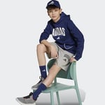 adidas Çocuk Gri Şort J CLGT FT SHO JW2380