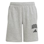 adidas Çocuk Gri Şort J CLGT FT SHO JW2380