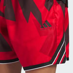 adidas Crazy Lite Erkek Şort