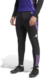 adidas DFB TR PNT Eşofman Altı Erkek