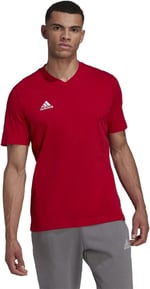 adidas Erkek ent22 Tee T-Shirt