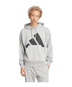 adidas Erkek M BL FT HD Sweatshirt