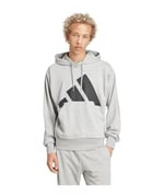 adidas Erkek M BL FT HD Sweatshirt