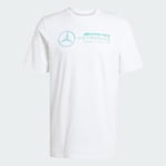adidas Erkek Mercedes - AMG Petronas Formula One Team DNA Grafik Tişört, BEYAZ/SEMİRU