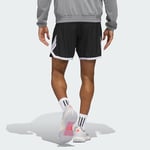 adidas Erkek Siyah T-shirt CRAZYLITE SHORT JN0328