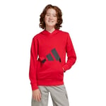 adidas Essentials Hoodie Kids