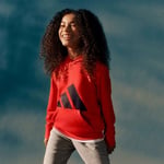 adidas Essentials Hoodie Kids