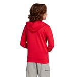 adidas Essentials Hoodie Kids