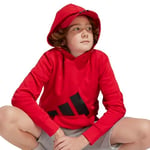 adidas Essentials Hoodie Kids