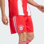 adidas FC Bayern 25/26 İç Saha Şortu JJ2133 Kırmızı