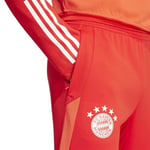 adidas FC Bayern Tiro 23 Training Erkek Eşofman Altı