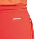 adidas FC Bayern Tiro 23 Training Erkek Eşofman Altı
