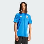 adidas FIGC H JSY Spor Üst Giyim Ürünleri Erkek