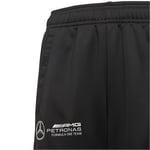 adidas Mercedes Amg Petronas Çocuk Eşofman Altı