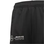 adidas Mercedes Amg Petronas Çocuk Eşofman Altı