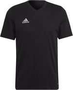 adidas Parma22 TEE Tişört Erkek