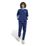adidas Sportswear Basic Tricot Colorblock TS Erkek Eşofman Takımı